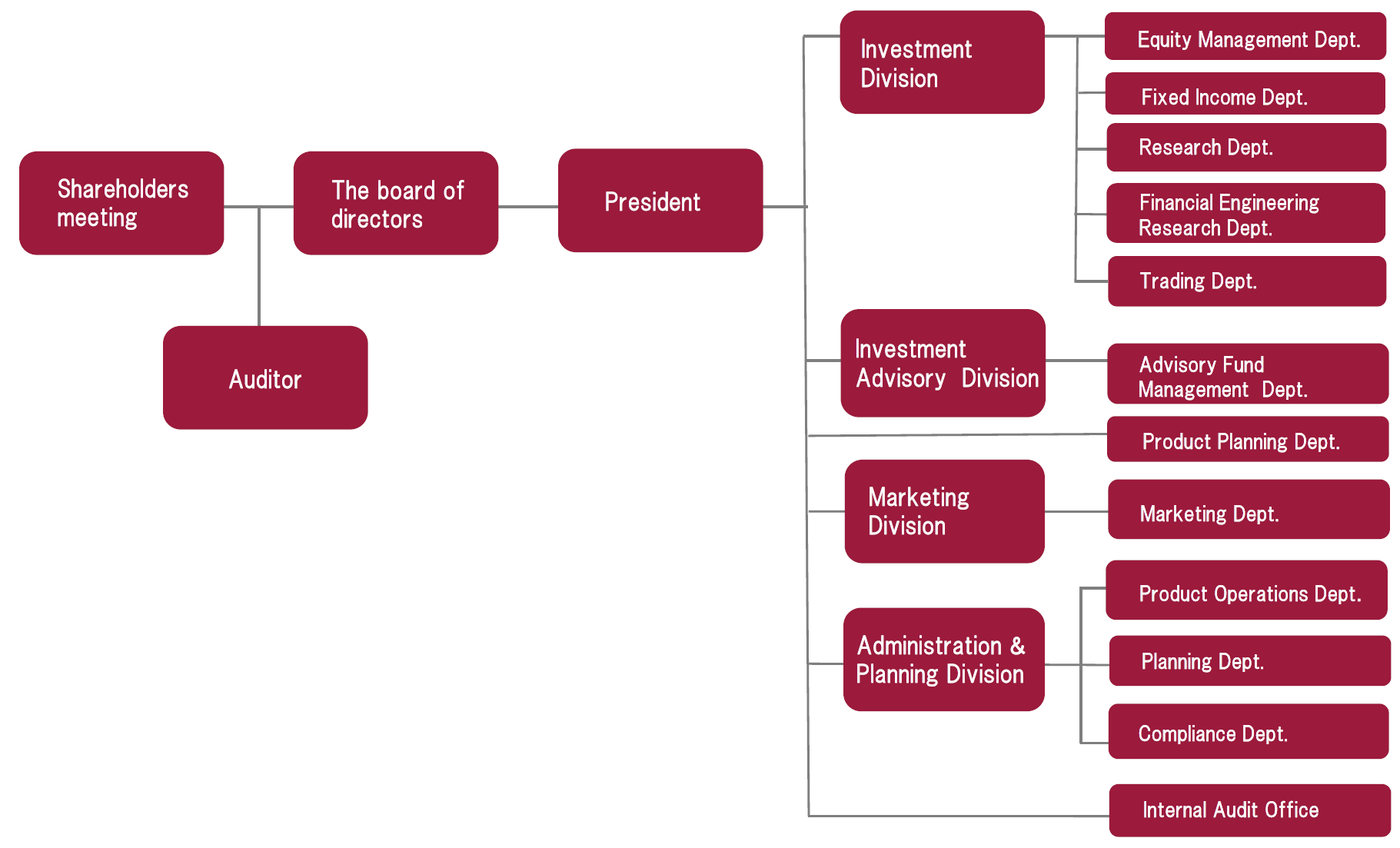 Company Organization Chart